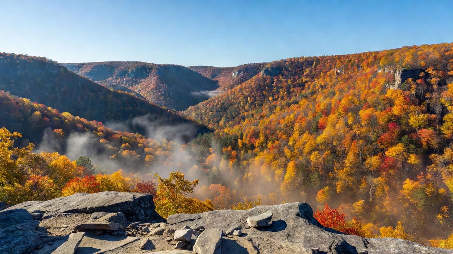 Autumn vista over Pine Creek Gorge in Pennsylvania with layered hardwood ridges in peak fall color and morning mist in the valley
