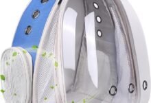 I Put My Cat in a Space Capsule and Now She's an Astronaut — Halinfer Bubble Backpack Review-TrailMapz