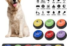 Your Dog Could Literally Tell You When They Need to Pee-TrailMapz