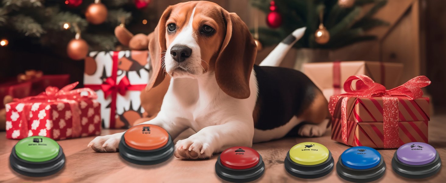 Dog using talking buttons for communication training