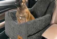 My Dog Sits Higher Than Me Now Thanks to This $45 Car Booster Seat — PETSFIT Dog Car Seat Review-TrailMapz