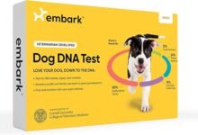 I Tested My Dog's DNA and Found Out She Has a Secret Family — Embark Dog DNA Test Review-TrailMapz