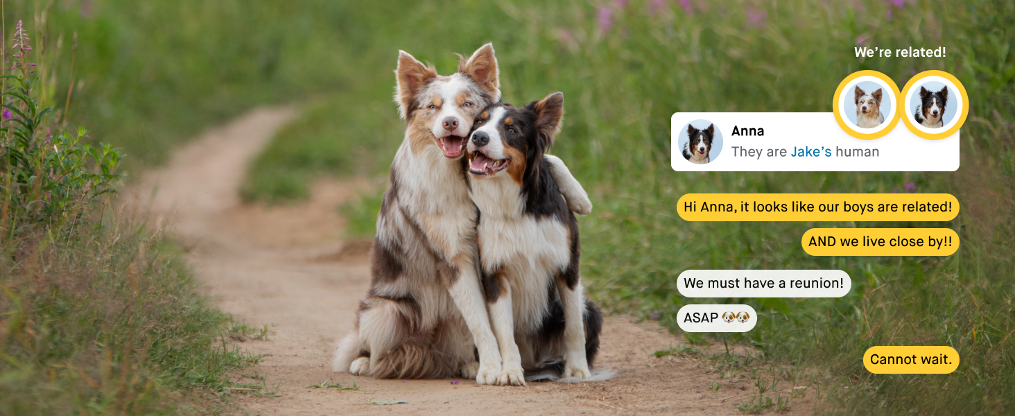 Embark relative finder connecting dogs through DNA matching