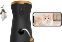 The Furbo 360° Cat Camera: Finally, a Way to Spy on (and Feed) Your Cat From Work-TrailMapz