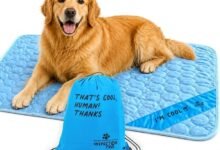 My Dog Stopped Hogging the Kitchen Floor Because of This $19 Cooling Mat-TrailMapz