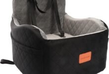 My Dog Now Has a Better Car Seat Than I Do — Lealchum Dog Booster Car Seat Review-TrailMapz