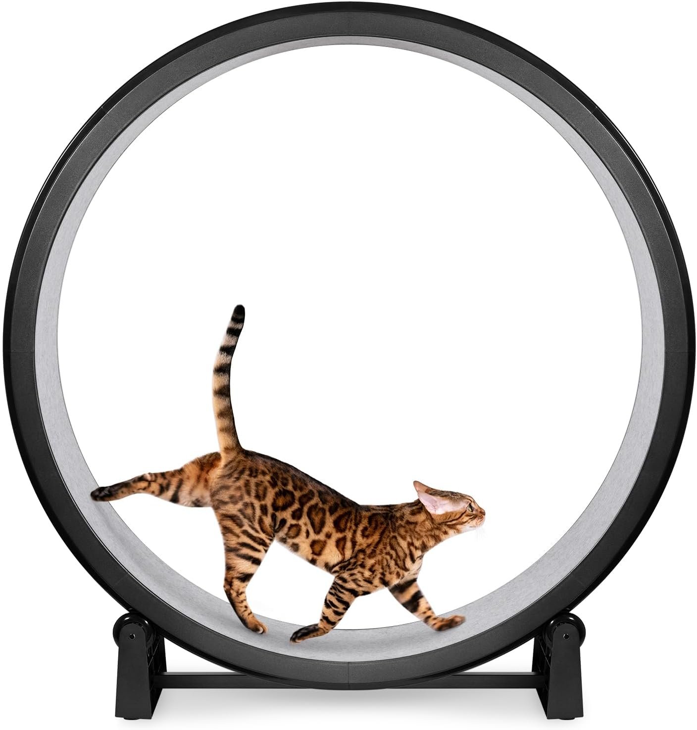 One Fast Cat Exercise Wheel Gen 7 - black cat treadmill for indoor cats