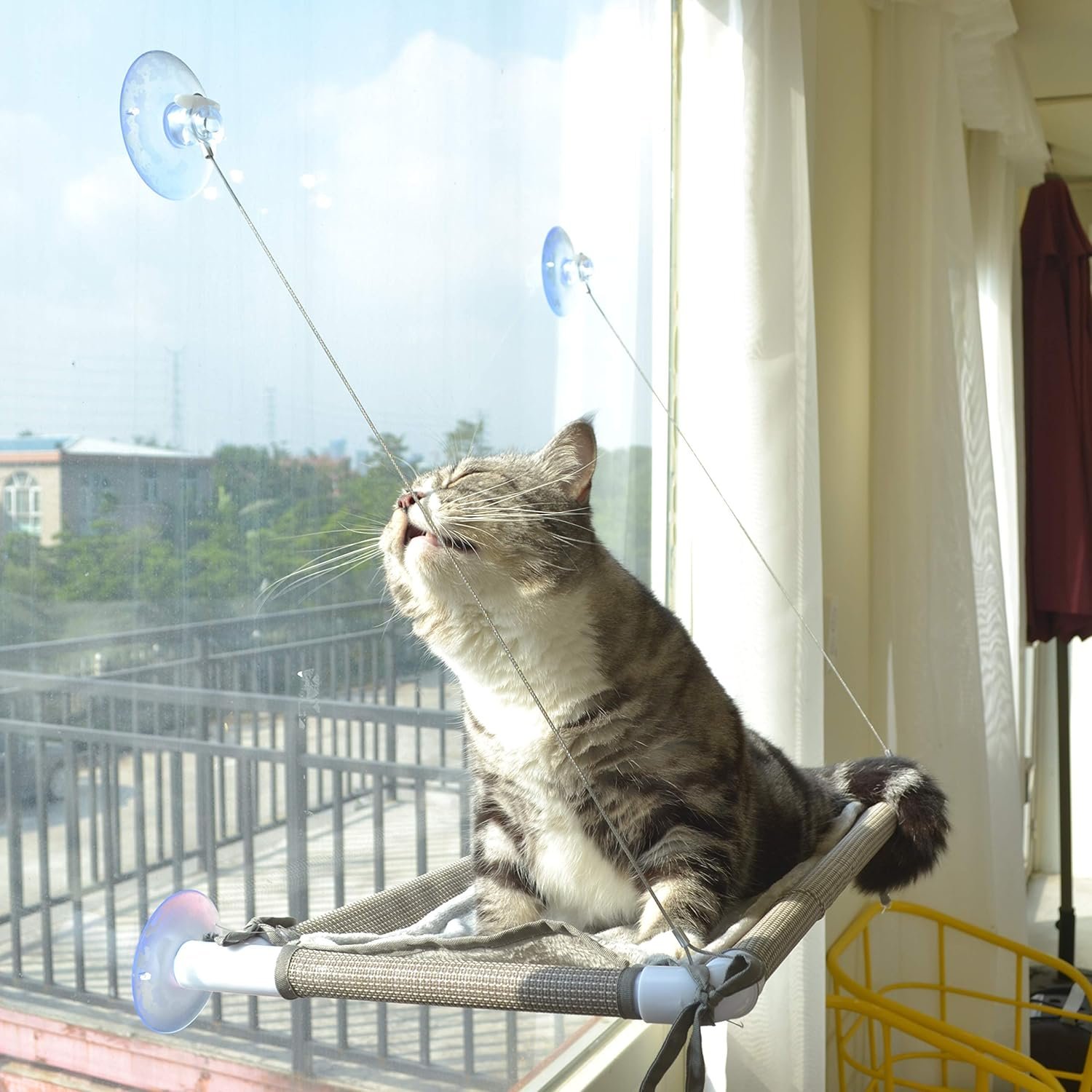PEFUNY Cat Window Hammock mounted on glass window