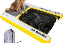 I Bought a Floating Ramp for My Dog and Now He Thinks He Owns the Lake-TrailMapz