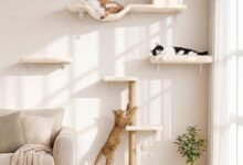 I Turned My Living Room Wall Into a Cat Jungle Gym — FUKUMARU 5-in-1 Cat Wall Shelves Review-TrailMapz