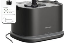 My Cat's Water Bowl Has Its Own App Now — PETLIBRO Dockstream 2 Smart Fountain Review-TrailMapz