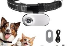 I Strapped a Camera to My Cat's Collar and Finally Saw What She Does All Day-TrailMapz