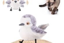 I Gave My Cat a Robot Bird and She Lost Her Mind — Potaroma Flapping Bird Toy Review-TrailMapz