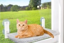 I Stuck a Hammock to My Window and My Cat Never Came Down — AMOSIJOY Cat Window Perch Review-TrailMapz