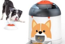 I Tested the Potaroma Electronic Dog Puzzle — And My Dog Actually Had to Think for Once-TrailMapz