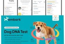 I DNA-Tested My Rescue Dog and Now I Know More About Her Than My Own Family Tree-TrailMapz