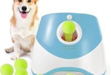 I Bought a Machine That Throws Tennis Balls at My Dog So I Don't Have To-TrailMapz