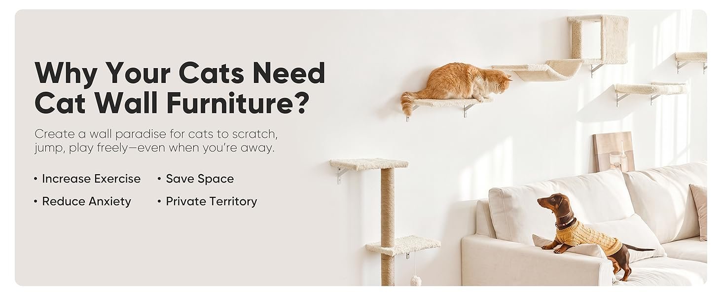 FUKUMARU Cat Wall Shelves mounted on wall with cat climbing features and scratching posts