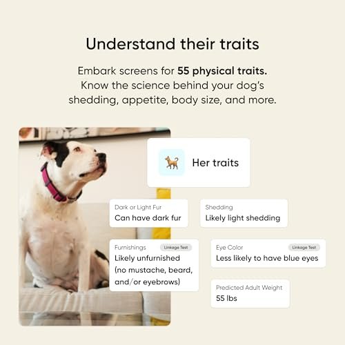 Embark Dog DNA Test cheek swab process