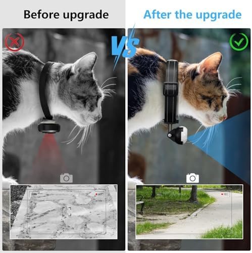 Cat camera collar side view