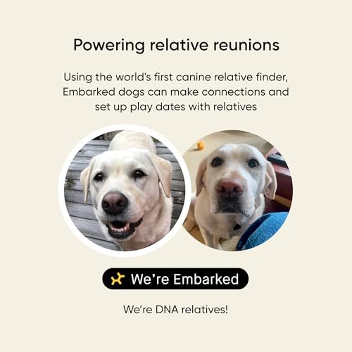 Embark Dog DNA Test breed results breakdown