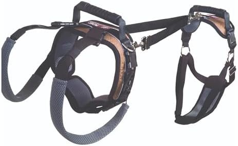 My Senior Dog Can Climb Stairs Again Thanks to This $60 Lifting Harness-TrailMapz