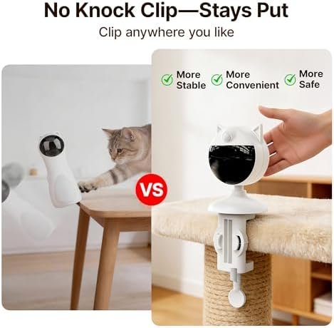Cat playing with Potaroma laser toy