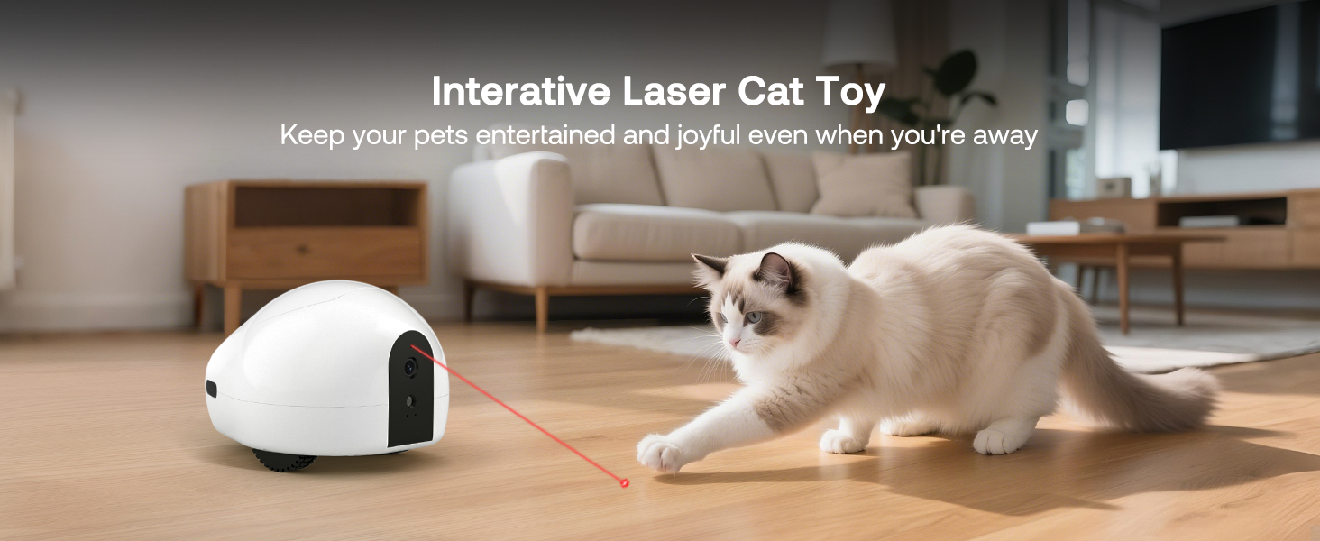 pumpkii moving pet camera robot in action showing different angles and the interactive laser pointer mode