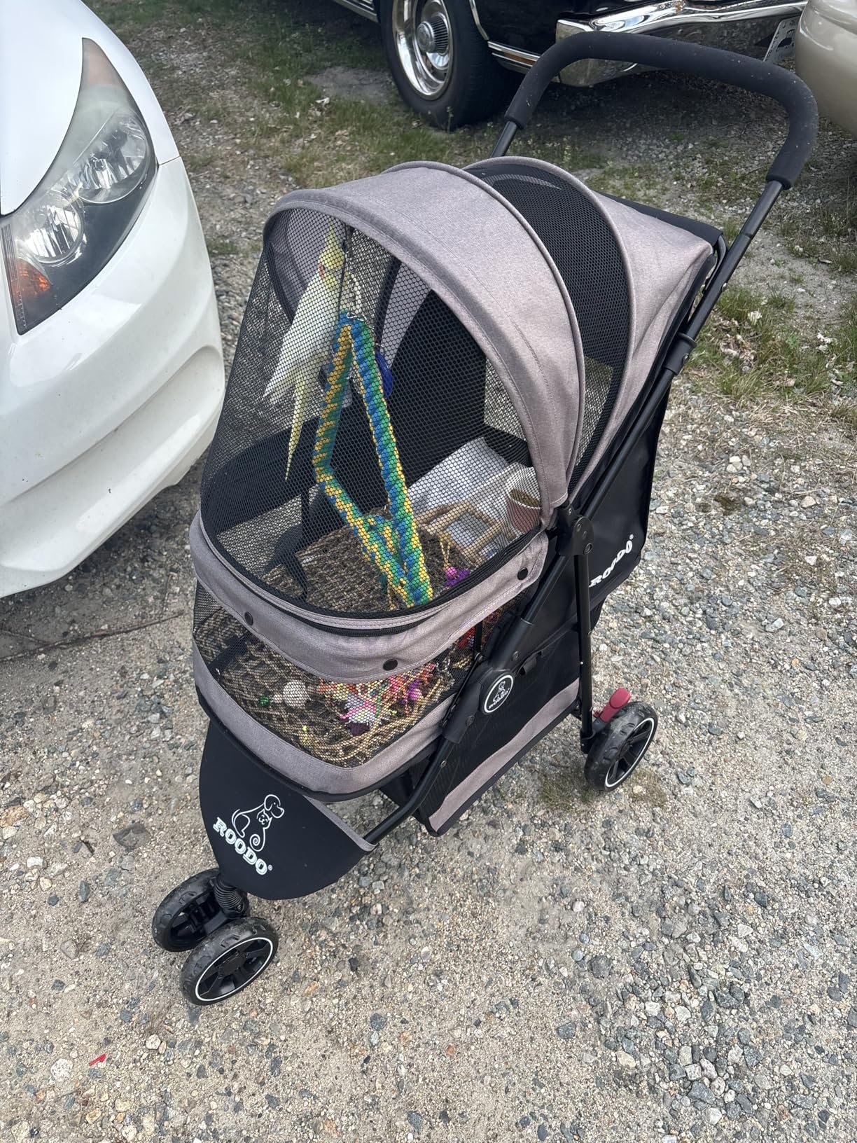 ROODO Pet Stroller - customer photo with pet