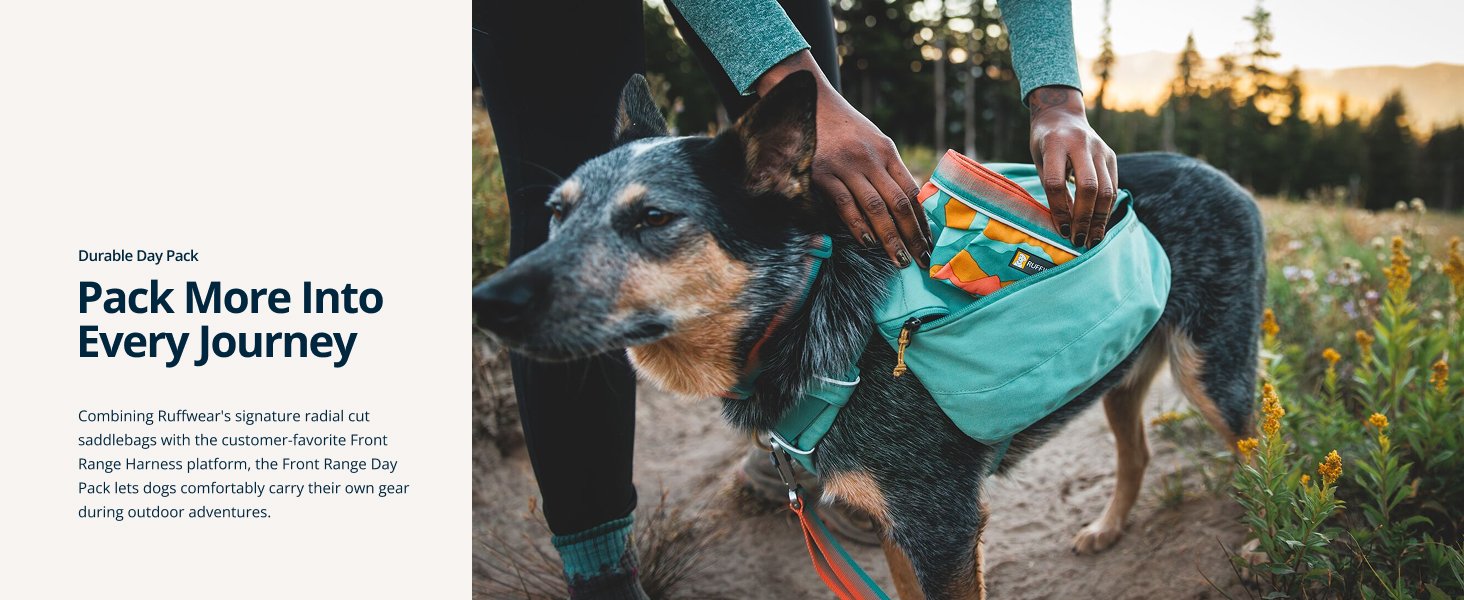 Dog wearing Ruffwear backpack hiking on trail
