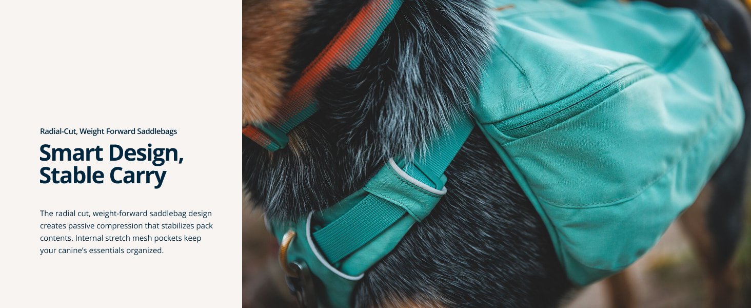Dog carrying gear in Ruffwear day pack outdoors
