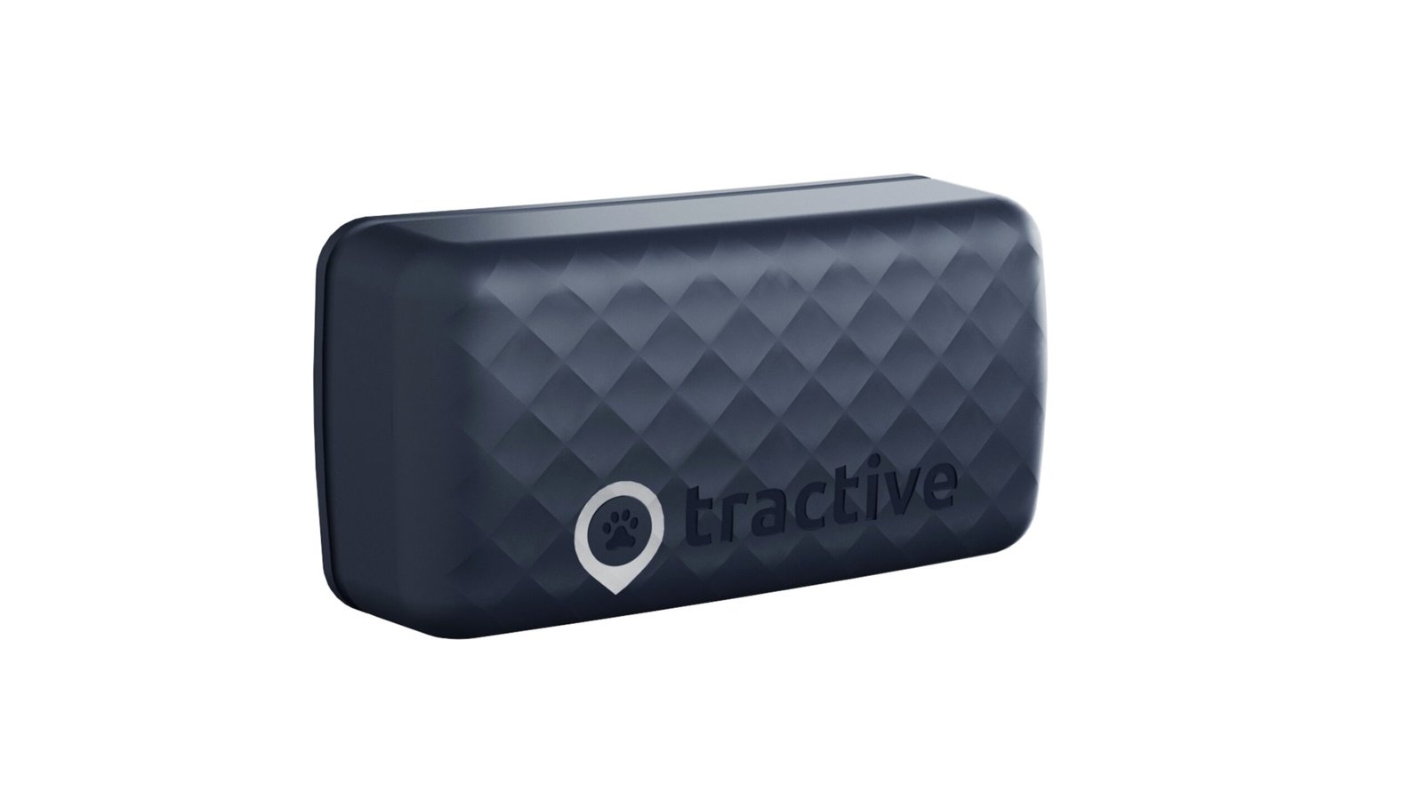 Tractive GPS Tracker on pet collar