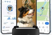 I Tracked My Dog's Every Move for a Week and Now I Know Too Much — Tractive GPS Dog Tracker Review-TrailMapz