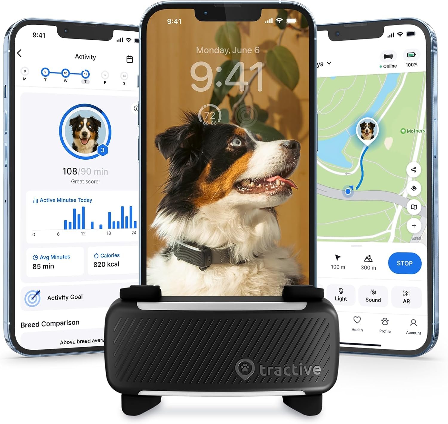 Tractive GPS Dog Tracker on dog collar